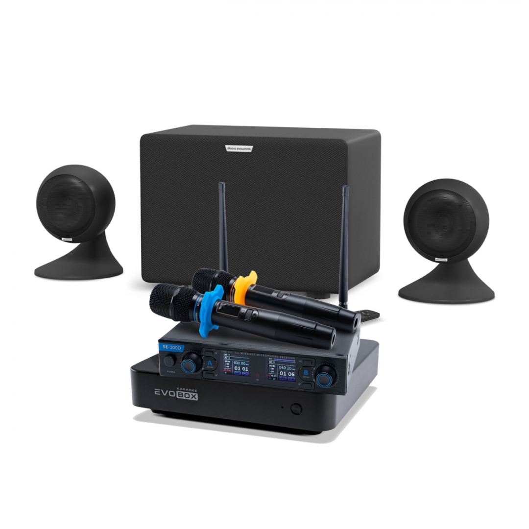 караоке-комплект EVOBOX + EvoSound Sphere 2.1 в Коркино