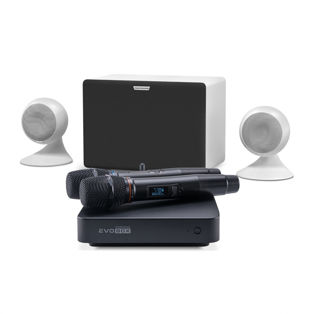 караоке-комплект EVOBOX Classic + EvoSound Sphere 2.1 в Коркино