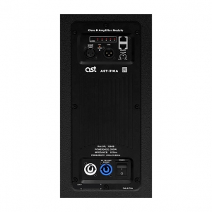 Активная акустическая система AST-310A в Коркино