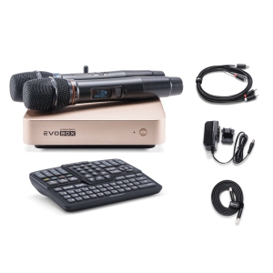 EVOBOX Classic караоке-система для дома в Коркино