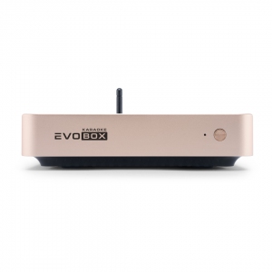 EVOBOX Plus караоке-система для дома в Коркино